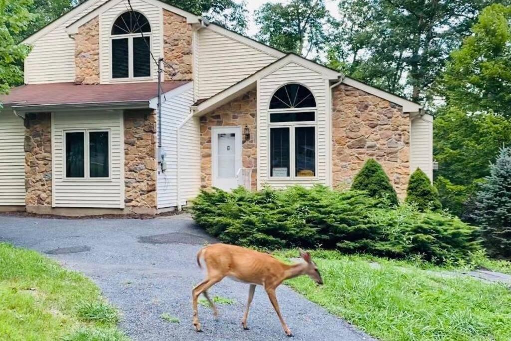 Serenity Falls - Stylish 4bdr Mountain Retreat, Hot Tub, Pool East Stroudsburg